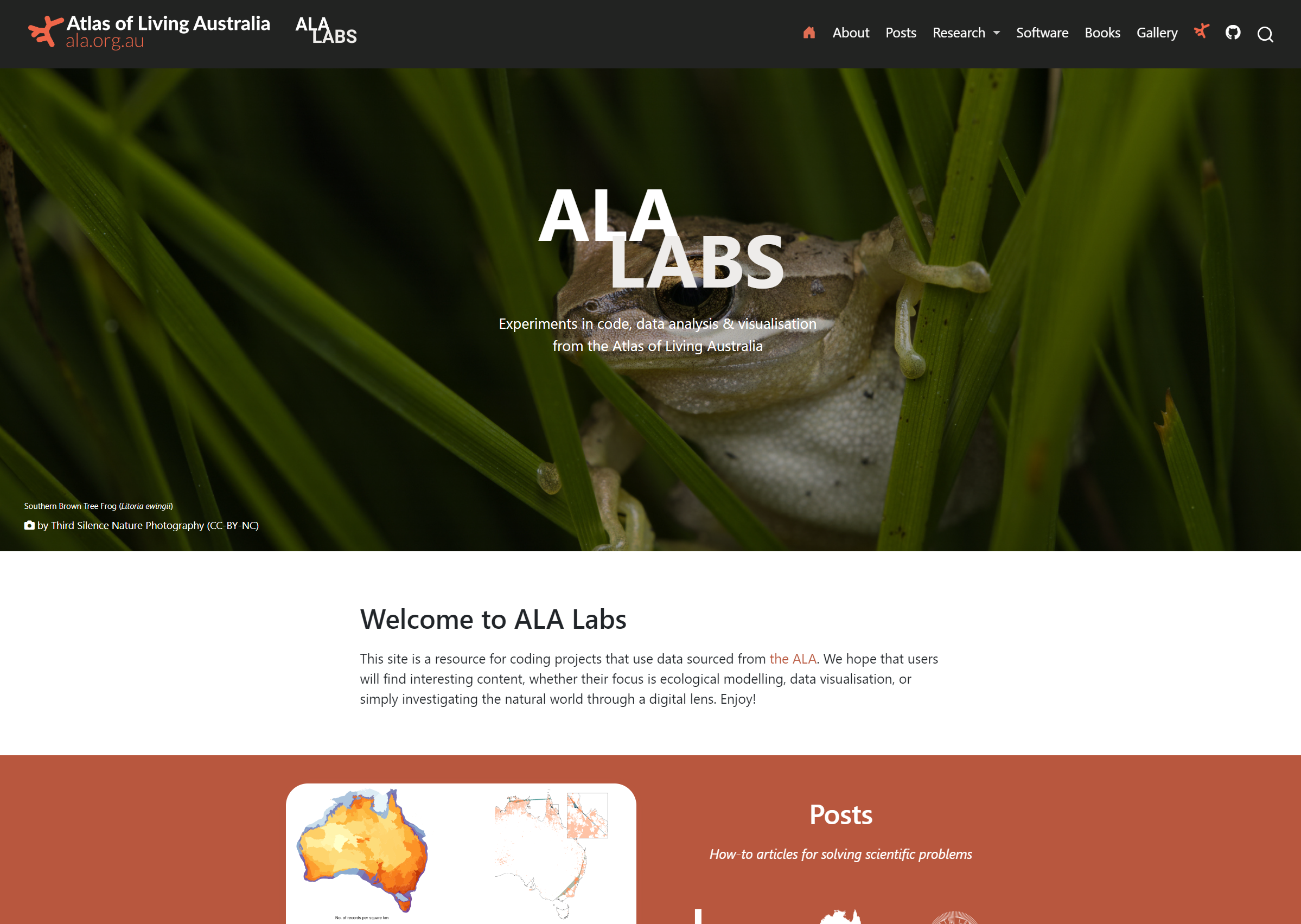 A tree frog peering through green reeds behind the large ALA Labs title